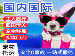 澜沧景迈航空邮寄国际宠物托运 【国